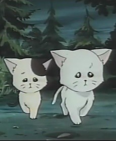 Meow no Hoshi