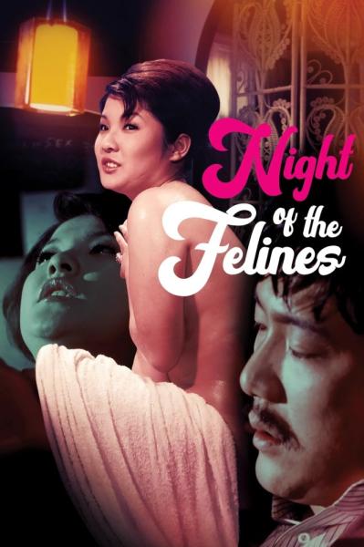 Night of the Felines