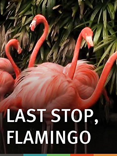 Last Stop, Flamingo