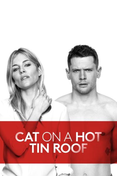 Cat on a Hot Tin Roof
