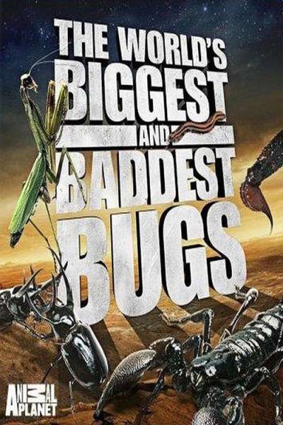 World's Biggest and Baddest Bugs