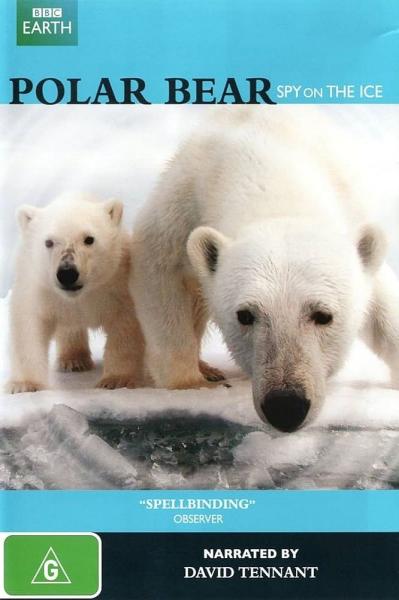 Polar Bears: Spy on the Ice