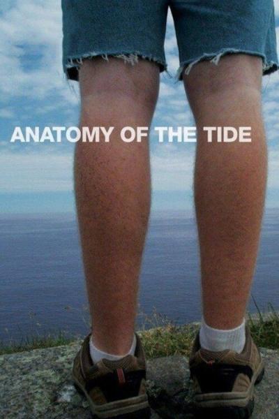 Anatomy of the Tide