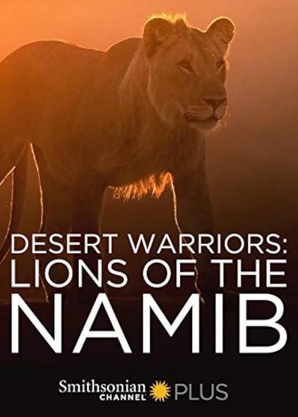 Desert Warriors: Lions of the Namib
