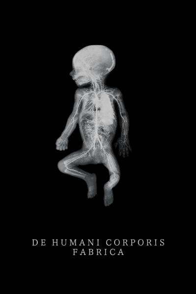The Fabric of the Human Body