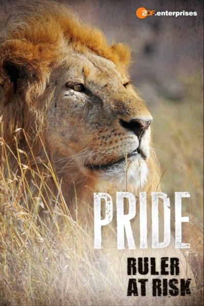 Pride: Ruler's at Risk