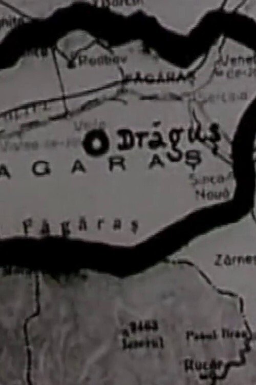 Dragus